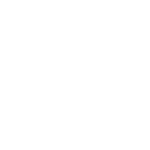Faster-Execution